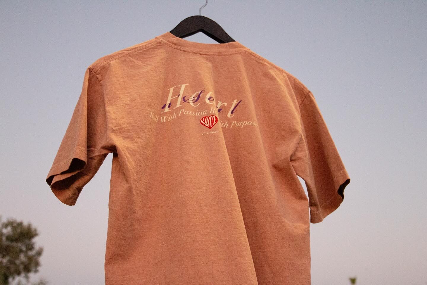 Established Logo Heavyweight Tee - HeartnsoulJJ 