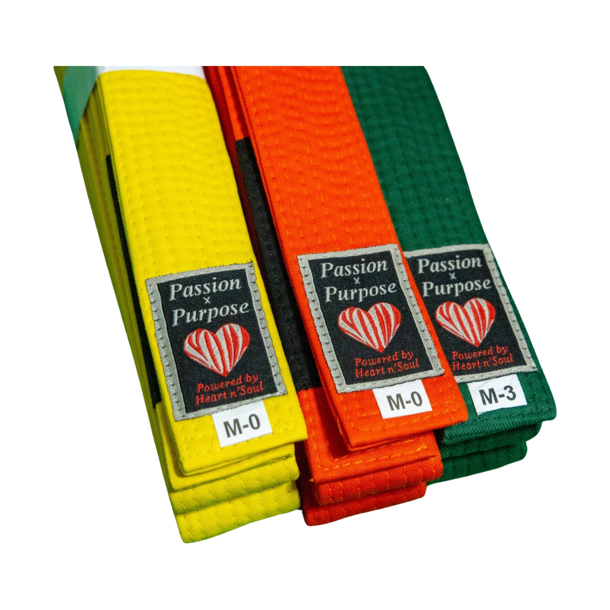 Youth Jiu Jitsu Belt - HeartnsoulJJ 