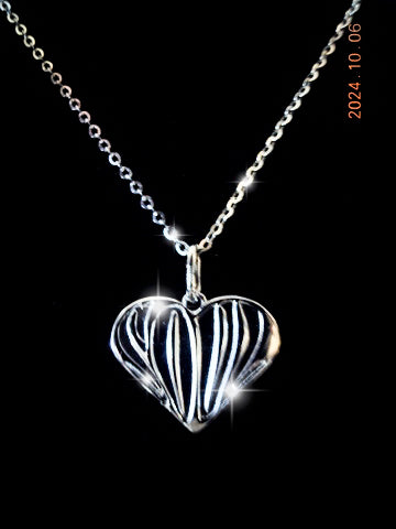 SS Chain & HNS Pendant - HeartnsoulJJ 